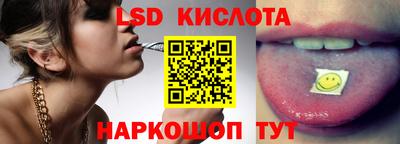 гидра Будённовск