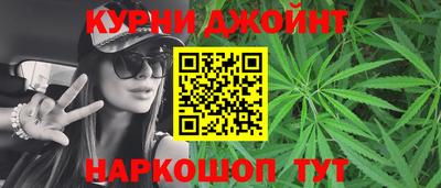 гидра Будённовск