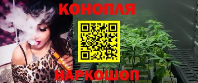 гидра Будённовск